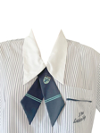 Picture of St James Girls Formal Tie (SJ011)
