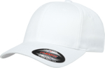 Picture of FlexFit Worn By The World Cap-Youth (FF-6277Y)