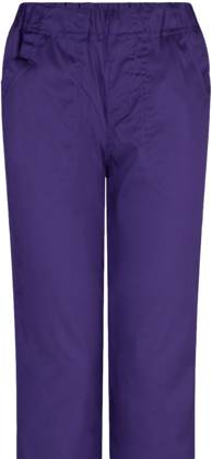 Picture of LSJ Collections Unisex Clinical Stretch Scrub Pant (505-PRS-PUR)