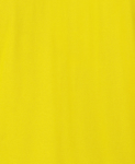 Picture of JB's Wear Hi Vis Short Sleeve Cotton Pique Traditional Polo (6HVQS)