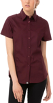 Picture of Chef Works Womens Universal Shirt (CSWV)
