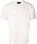Picture of Winning Spirit Unisex Cool Tee Shirt (TS23)