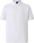 Picture of Winning Spirit Mens Victory Polo (PS33)