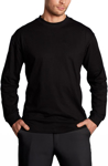 Picture of Winning Spirit Mens London Long Sleeve Tee Shirt (TS02)