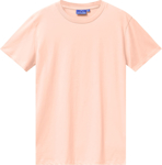 Picture of Winning Spirit Mens Premium Cotton Tee Shirt (TS41)