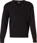 Picture of Winning Spirit Unisex Wool Mix V Neck Jumper (WJ01)