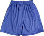 Picture of Winning Spirit Kids Shoot Soccer Shorts (SS25K)