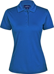 Picture of Winning Spirit Womens Bamboo Charcoal Corporate Short Sleeve Polo (PS88)