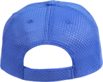 Picture of Winning Spirit Athletic Mesh Cap (CH20)