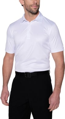 Picture of Sporte Leisure Mens Arrow Leisure Fit Polo (SCORMT012)